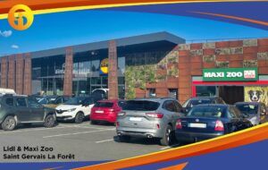 LIDL & Maxi Zoo